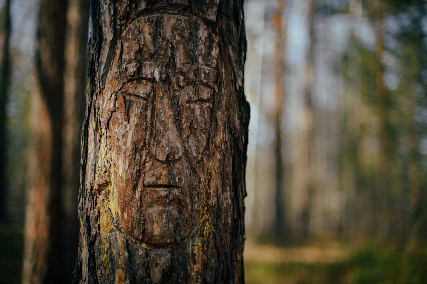 Understanding the Foundations of Authentic Shamanism